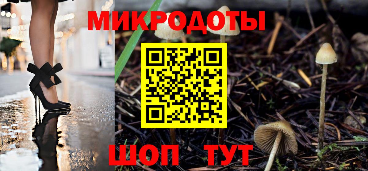 Псилоцибиновые грибы мицелий Бирск